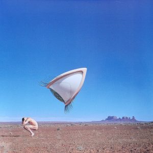 The Cranberries - Bury The Hatchet RSD 24