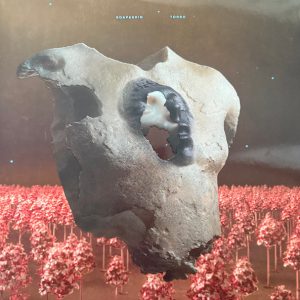Soap & Skin - Torso