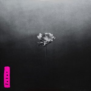Little Simz - LOTUS
