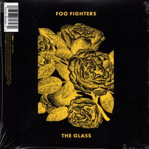 H.E.R. & Foo Fighters - The Glass