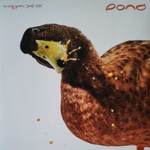 RSD 2025 - Pond