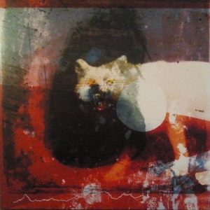 MjEtNTUxNi5qcGVn.jpeg Mogwai - As The Love Continues