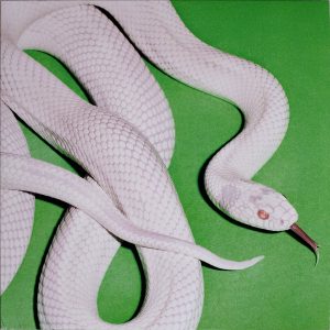 MjctOTg2My5qcGVn.jpeg Deftones - private music