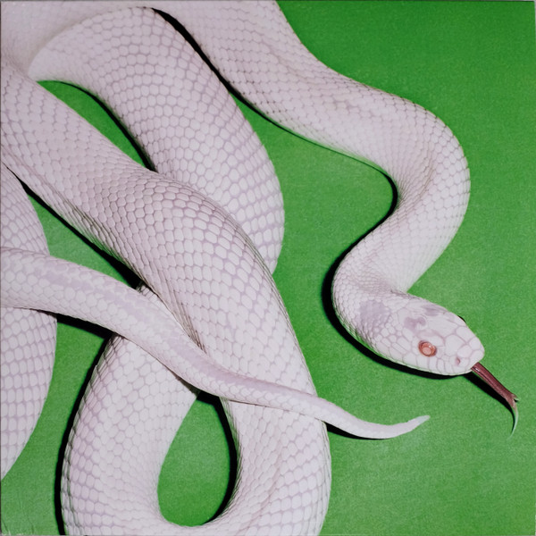 Deftones - private music