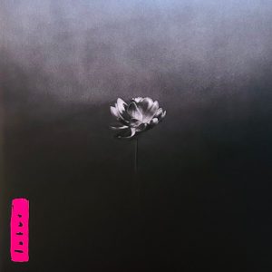 MzMtNTg2MC5qcGVn.jpeg Little Simz - LOTUS