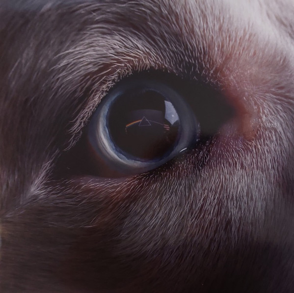 Roger Waters - The Dark Side Of The Moon