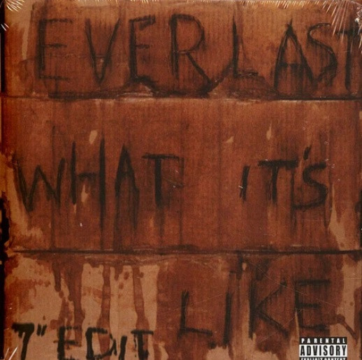 Everlast - What It's Like/Ends