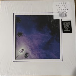 RSD26 - Look Outside Your Window