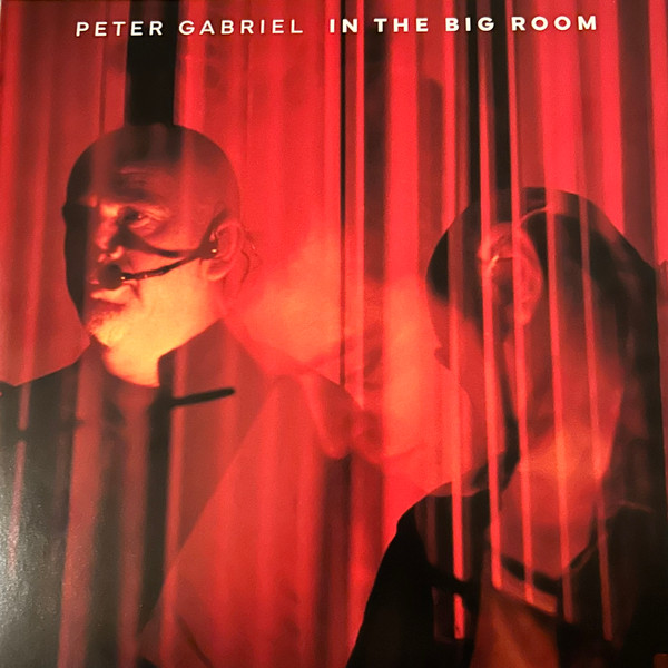 Peter Gabriel - In The Big Room